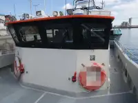 Catamaran de vânzare