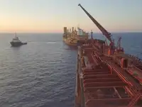 Nava de transport marfă vrac de vânzare