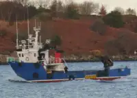 Ambarcațiuni de lucru de vânzare