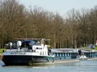 Nava de transport marfă vrac de vânzare
