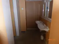 Navă de feribot de vânzare