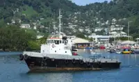 Remorcher de vânzare