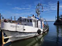 Remorcher de vânzare