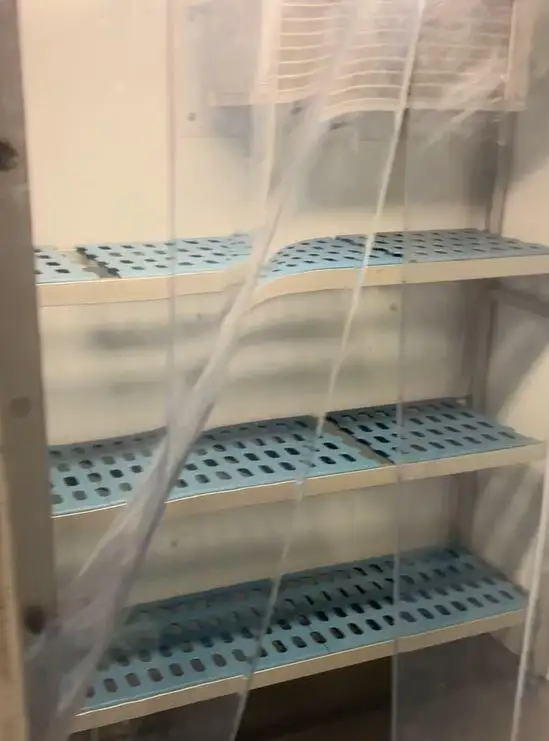 Navă de croazieră și feribot de vânzare
