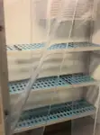 Navă de croazieră și feribot de vânzare