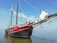 Nava de transport marfă vrac de vânzare