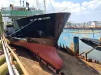 Ro-Ro ship de vânzare