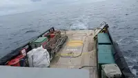 Ambarcațiune de patrulare de vânzare