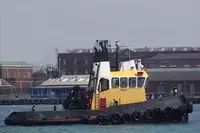 Remorcher de vânzare