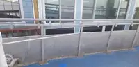 Catamaran de vânzare