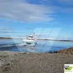 Navă Ro-Ro de vânzare