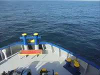 Navă frigorifică de vânzare