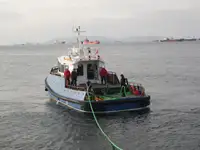 Remorcher de vânzare