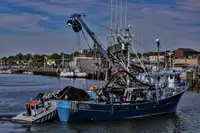 Nava de pescuit cu plase purseine de vânzare