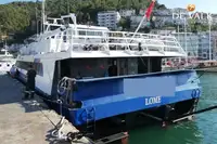 Catamaran de vânzare