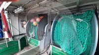 Nava transportoare de pește viu de vânzare