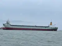 Nava de containere de vânzare