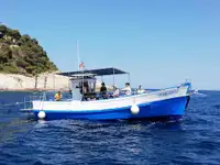Trawler de vânzare