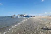 Barjă de vânzare