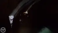 Nava de pescuit tip trauler de vânzare