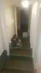 Navă Ro-Ro de vânzare