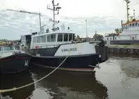 Bărci de lucru de vânzare