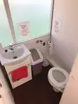 Navă de croazieră de vânzare