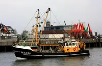 Trawler de vânzare