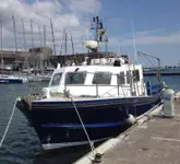 Ambarcațiuni de lucru de vânzare