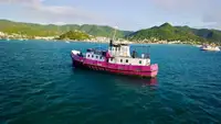 General Cargo/Multi-purpose de vânzare