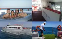 Navă de croazieră de vânzare
