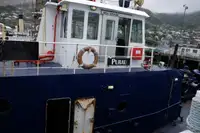 Remorcher de vânzare