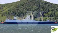 Ro-Ro ship de vânzare