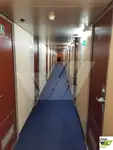Navă de croazieră de vânzare