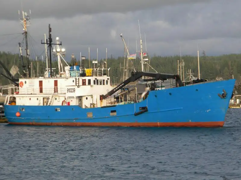 Nava de transport marfă vrac de vânzare