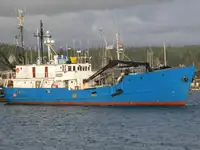 Nava de transport marfă vrac de vânzare
