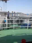 Dragă de vânzare