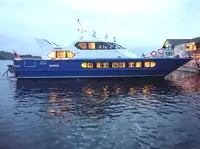 Navă cu feribotul de vânzare