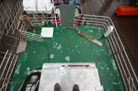 Navă de feribot de vânzare