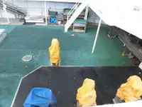 Nava de pescuit tip trauler de vânzare