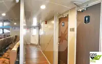 Navă de croazieră de vânzare