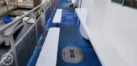 Catamaran de vânzare