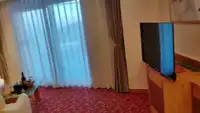 Navă de croazieră de vânzare