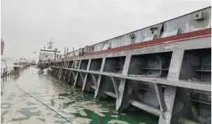 Nava de transport marfă vrac de vânzare