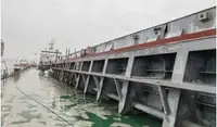 Nava de transport marfă vrac de vânzare