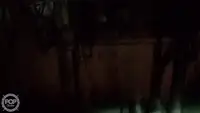 Nava de pescuit tip trauler de vânzare