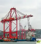Nava de transport marfă vrac de vânzare