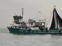 Nava de pescuit cu plase purseine de vânzare