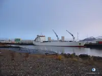 Navă frigorifică de vânzare