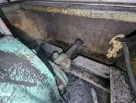 Navă de croazieră și feribot de vânzare